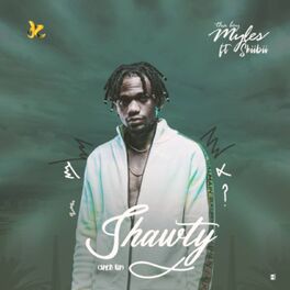 Album cover of Shawty (Sped-Up) [feat. Skiibii]