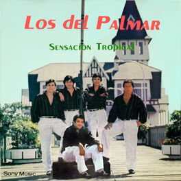 Album cover of Sensación Tropical
