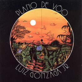 Album cover of Plano De Voo