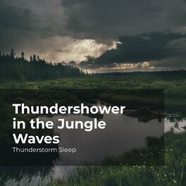Album cover of Thundershower in the Jungle Waves