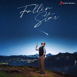Album cover of Fallin Star