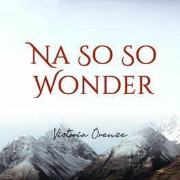 Album cover of Na so So Wonder