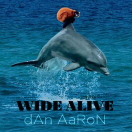 Album cover of Wide Alive