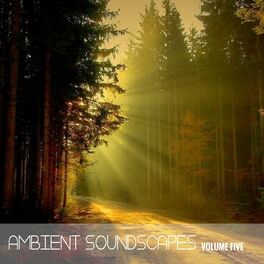 Album cover of Ambient SoundScapes, Vol. 5