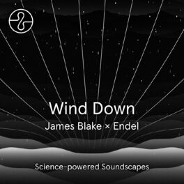 Album picture of Wind Down