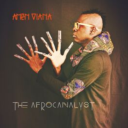 Album cover of The Afrocanalyst