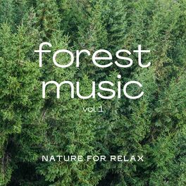 Album cover of 2022 Forest Music