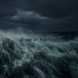 Album cover of Ocean of Feelings