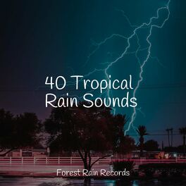 Album cover of 40 Tropical Rain Sounds
