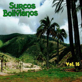 Album cover of Surcos Bolivianos Vol. 16