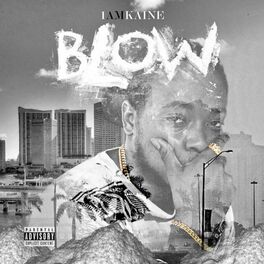 Album cover of Blow