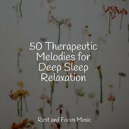 Album cover of 50 Therapeutic Melodies for Deep Sleep Relaxation