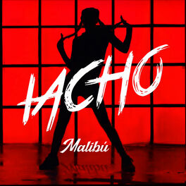 Album cover of Malibú