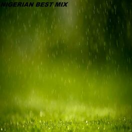 Album cover of Nigerian best mix