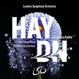 Album picture of Haydn: An Imaginary Orchestra Journey