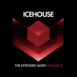 Album cover of The Extended Mixes Vol. 2