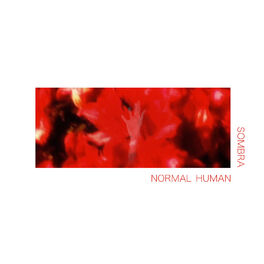 Album cover of Normal Human