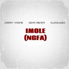 Album cover of Imole (NGFA)