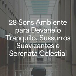Album cover of 28 Sons Ambiente para Devaneio Tranquilo, Sussurros Suavizantes e Serenata Celestial