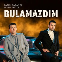 Album cover of Bulamazdım