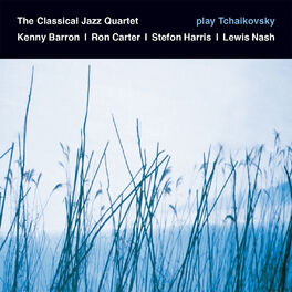 Album cover of Play Tchaikovsky