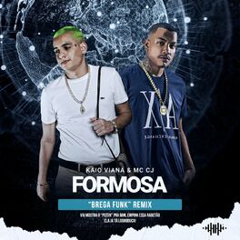Album cover of Formosa (Brega Funk Remix)