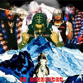 Album cover of La Tiguerada