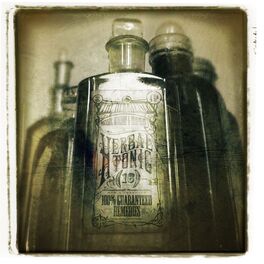 Album cover of Herbal Tonic (Best Of)