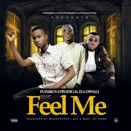 Album cover of Feel Me