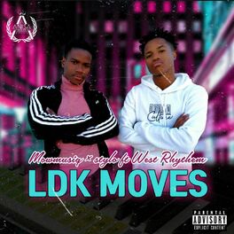 Album cover of Ldk Moves