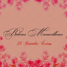 Album cover of Boleros Maravillosos - 25 Grandes Éxitos