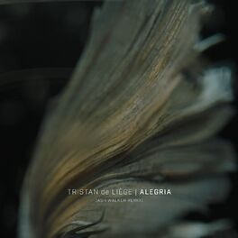 Album cover of Alegria (Ash Walker Remix)