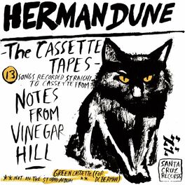 Album cover of The Cassette Tapes from Vinegar Hill