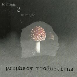 Album cover of To Magic... 2