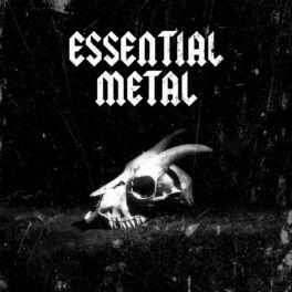 Album cover of Essential Metal
