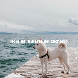 Album cover of Hora de la siesta del cachorro