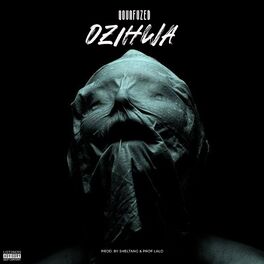 Album cover of Dzihwa