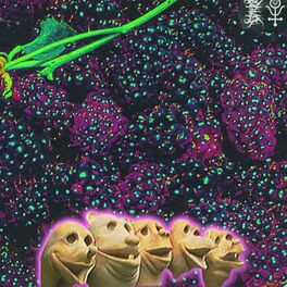 Album cover of Boysenberry Sepsis