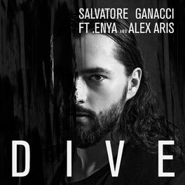 Album cover of Dive