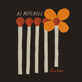 Album cover of Burn