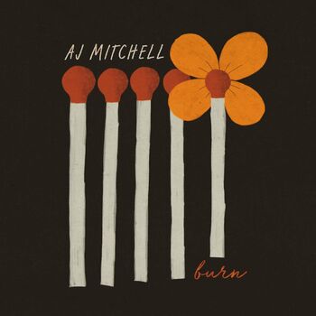 Aj Mitchell Burn Listen With Lyrics Deezer