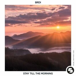 Album cover of Stay Till the Morning