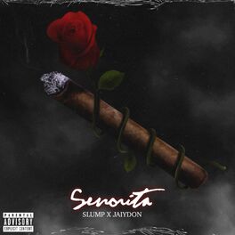 Album cover of Senorita (feat. Jaiydon)