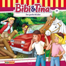 Album cover of Folge 19: Der große Bruder