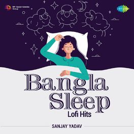 Album cover of Bangla Sleep Lofi Hits