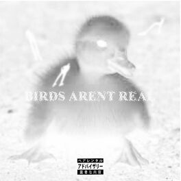 Album cover of BIRDS ARENT REAL (feat. AyTee & It's Finn Again)