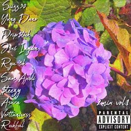 Album cover of 2Mix, Vol. 1