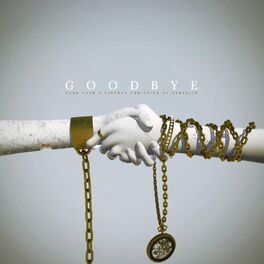Album cover of Goodbye (feat. Stephen Christian & Anberlin)