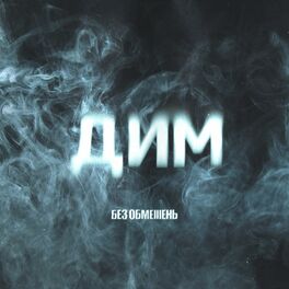 Album cover of ДИМ