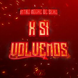 Album cover of X SI VOLVEMOS (Intro Noche de Sexo) [Remix]